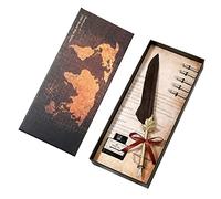 TFixol Set penna e inchiostro penna stilografica con piuma, con ricambio per calligrafia, stile vintage, di lusso, per bambini, studenti, amici