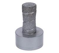 (TG. Ø 20 mm) Bosch Professional 2608599038 Punta Diamantata a Secco, per Ceram