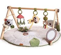 (TG. 1 Unit (Confezione da 1)) Tiny Love Boho Chic Gymini, Palestrina Neonato M