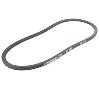 (TG. 10 x 8 x 800 mm) Greenstar 11691 Mitsuboshi SPZ787 - Cinghia trapezoidale l