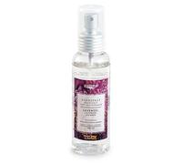 (TG. 100 ml) pajoma Spray per Ambienti, Argento, 100 ml - NUOVO