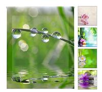 (TG. 130l x 180A cm) Blindecor Tenda avvolgibile traslucida Digitale, Zen,W-Z-01