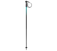 (TG. 135) HEAD Frontside Black Blu, Bastoni da Sci Unisex Adulto, Speed Blue, 13