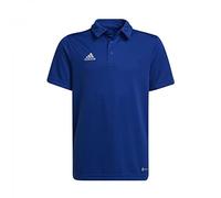 (TG. 15 anni) adidas Ent22 Polo Y, Royblau, 176 Unisex-Bambini e Ragazzi - NUOVO