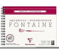 (TG. 18 x 24 cm) Clairefontaine 96313C Album a Spirale, 18 x 24 cm, 12 Fogli, Bi