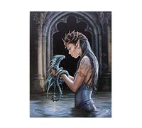 (TG. 20x26 cm) ANNE STOKES WP_75422 Placca multicolore, 20x26 cm - NUOVO