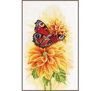(TG. 22 x 33 cm) Unbekannt Lanarte PN-0194926 - Set per punto croce, in cotone,