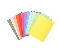 (TG. 24x32) Exacompta 410000E Cartelle Semplici Forever® 10, 24x32 cm, Colori a