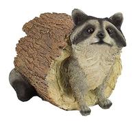 (TG. 25.5x18x19 cm) Design Toscano Bandit il procione Statua animale da giardino