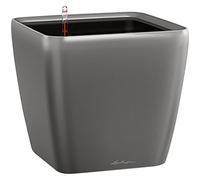 (TG. 28 x 28cm; altezza: 26cm) Lechuza Set Completo Vaso Quadro Premium 28, Colo