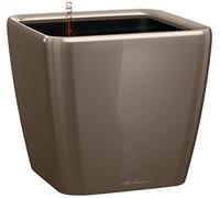 (TG. 28 x 28cm; altezza: 26cm) Lechuza Set Completo Vaso Quadro Premium 28, Colo