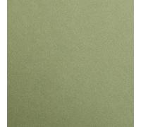 (TG. 29.7 x 21 x 0.9 cm) Clairefontaine 97470C Pacchetto Fogli Carta Maya, Kaki,