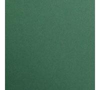 (TG. 29.7 x 21 x 0.9 cm) Clairefontaine 97479C Pacchetto Fogli Carta Maya, Verde