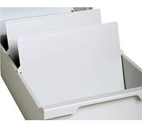 (TG. 29.8 x 0.4 x 21.6) Exacompta 54540D Set Intercalari, Grigio Chiaro, 29.8 x