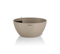 (TG. 29.8x29.8x13.5 cm) Lechuza Cubeto Colore 30 - - NUOVO