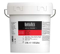 (TG. 3.78 l (Confezione da 1)) Liquitex - 620 Professional Lucida Vernice, Acr