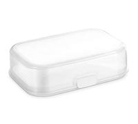 (TG. 30 x 20 cm) Tescoma 891756 Freshzone Contenitore per Alimenti, 30 x 20 cm -