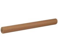 (TG. 300G) Canson 200992619 Nastro Cartone Ondulato da 50X70 cm - NUOVO