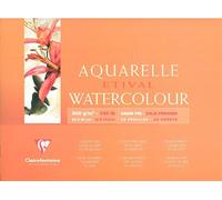 (TG. 30x40) Clairefontaine 96472C Blocco Etival, 30 x 40 cm, 25 Fogli, Bianco -