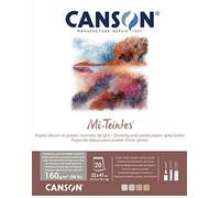 (TG. 31x41cm) Canson Mi-Teintes- Blocco di 20 fogli 32 x 41, 160 g/m², toni gri