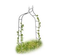(TG. 38.0x170.0x240.0 cm) Relaxdays 10017903 Arco Rampicante per Piante, Verde,