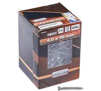 (TG. 4,0 x 50 mm) Connex HV4441 - Set 250 chiodi di fissaggio con trattamento di