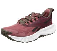 (TG. 42.5 EU) Reebok FLOATRIDE Energy 5 Adventure, Sneaker Donna, SEDROS/CLAMAR/