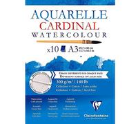 (TG. 42 x 29.7 x 0.6 cm) Clairefontaine 96184C Blocco di Carta, A3, 10 Fogli, Bi