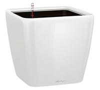 (TG. 43 x 43cm; altezza: 40cm) Lechuza Set Completo Vaso Quadro Premium 43, Colo