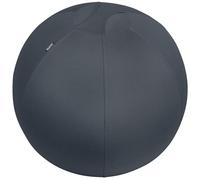 (TG. 65 cm) Leitz Ergo Cosy Active Palla da seduta dal Design Ergonomico con Riv