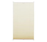 (TG. 80 x 130 cm) Gardinia 31265 Tenda Plissettata con Morsetto di Fissaggio, Te