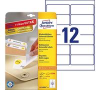 (TG. 99.1 x 42.3) Avery L4743REV-25 Etichette Rimovibili, 12 Pezzi per Foglio, 2