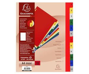 (TG. A4 MAXI (carton de 20)) Exacompta - Rif. 2512E - Cartone da 20 divisori in