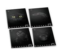 (TG. Confezione da 10 Maxi Quaderni) Pigna 02303370Q - Quaderno A4 monocromatico