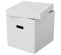 (TG. Cubo Large) Esselte Set di 3 Contenitori Cubici Grandi con Coperchio in Car