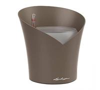 (TG. D18 H19.5 cm) Lechuza Fioriera, resina, tortora - NUOVO