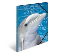 (TG. DIN A3) HERMA 7146 Polipropilene (PP) Blu, Grigio cartella - NUOVO