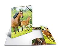 (TG. DIN A4) HERMA 7140 cartella Polipropilene (PP) Multicolore A4 - NUOVO