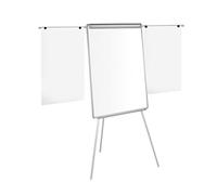 (TG. EURO) Bi-Office EA2306046 Lavagna Portablocco Magnetico, 700 x 1000 mm, Gri