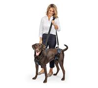 (TG. Grande) PetSafe CareLift - Pettorina di supporto posteriore, Adatto a cani
