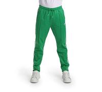 (TG. L) ARENA Pantaloni da Jogging da Uomo Relax IV Team Pant Jogger Tuta, Verde