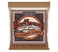 (TG. Light) Cordes de Guitare Acoustique Ernie Ball Earthwood 12-Bronze Light Ph