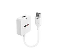 (TG. One size) Lindy 38146 Converter HDMI a DisplayPort - NUOVO