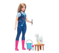 (TG. Piccolo) Barbie Carriere - Barbie Veterinaria 65° anniversario, set con ba