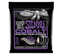 Ernie Ball 2731