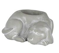 (TG. S) Classic Home and Garden Cement Buddies - Fioriera per interni ed esterni