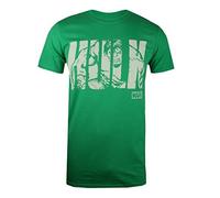 (TG. S) Marvel Hulk Text T-Shirt, Verde (Irish Green Grn), (Taglia Produttore: S