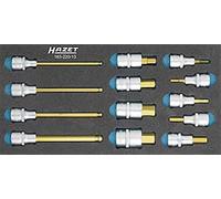 (TG. Size) Hazet 163-220/13 Serie di Inserti Chiave a Bussola per Giraviti, Oro,