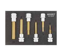 (TG. Size) Hazet 8808LG-10VDE - Inserto per chiave a bussola, Set, 163 - 302