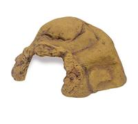 (TG. Size Not Specified) Exo Terra Grotta per rettili - NUOVO